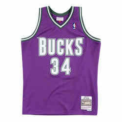 Mitchell & Ness Swingman NBA Milwaukee Bucks Ray Allen - SMJYAC18014-MBUPURP00RAL
